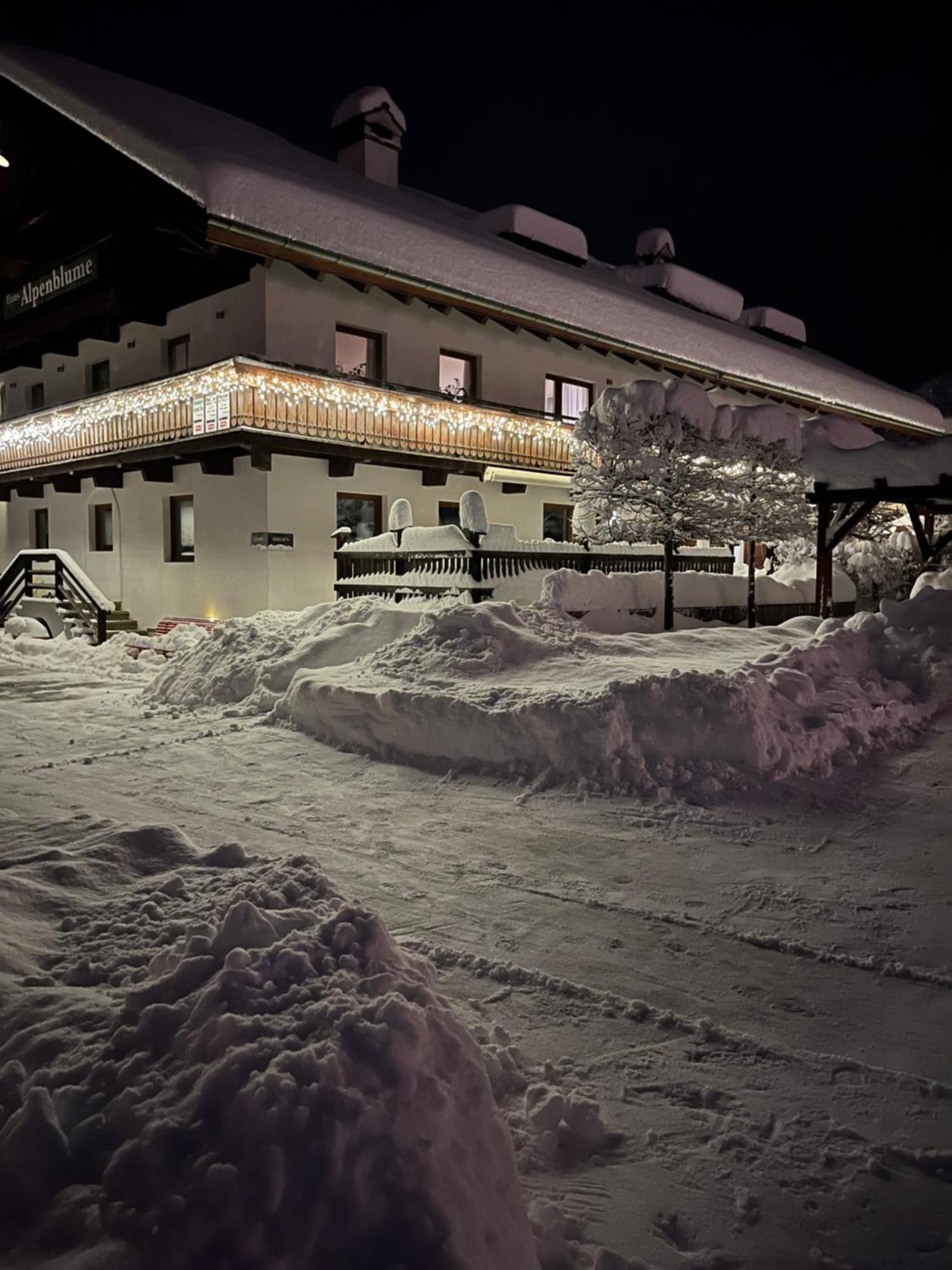 Haus Alpenblume Apartment Ehrwald Exterior photo